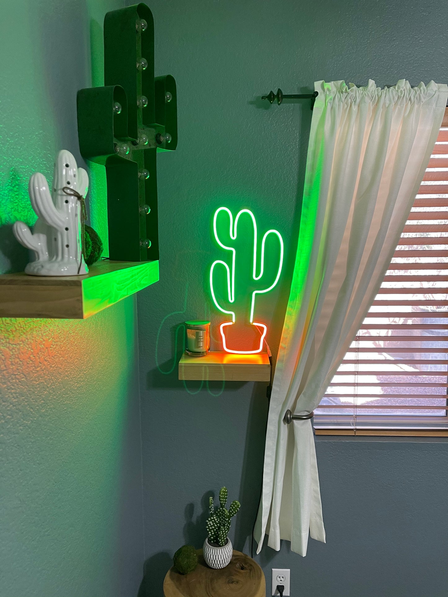 Quirky Cactus Planter